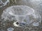 The Close up Floor fountain water splashing in stop motion photography.