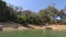 Close up of flora and boats around Kaptai lake Rangamati Chittagong