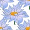 Close-up flower chamomile seamless pattern.