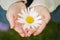 Close-up of a flower in childs hands