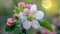 A close up of a flower with pink and white petals, AI