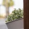 Close up of flowerpot with artificial trees outdoor decoration