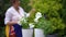 Close-up flowers in pots with blurred overweight woman prunning tree at background in slow motion. Caucasian gardener