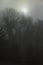 Close up of fogy forest over sunny and cloudy morning sky in Graz, Austria.