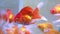 Close up Following Goldfishes in aquarium tank