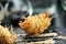 Close up food photo of fried tiger prawns in egg noodles on black slate background. Asian culture and cuisine. Food image of shrim