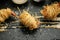 Close up food photo of fried tiger prawns in egg noodles on black slate background. Asian culture and cuisine. Food image of shrim