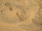 Close-up foot print on orange sandy beach