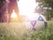 Close up Footballer getting ready to kick a soccer ball