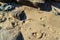 Close up of footprints on the beach