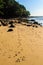 Close up of footprints on the beach