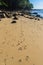 Close up of footprints on the beach