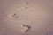 Close up footprints on sand beach in summer vacation seasonal in vintage style.