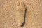 Close up of footstep in sandy on the beach