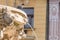 Close up of a fountain in the centre of decin