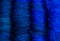 Close-up of four blue merino wool rolags, in shades ranging from royal blue to navy