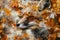 A close-up of a fox overlaid with the texture of autumn leaves in a double exposure