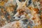 A close-up of a fox overlaid with the texture of autumn leaves in a double exposure
