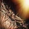 Close up fragent of crown of thorns as a symbol of resurrection of Jesus Christ