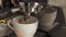 Close up frame of a white cup with the process of pouring coffee from the machine