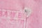 A close-up of a frayed pink jeans pocket, a torn off pocket