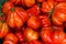 Close up , french delicious tomatoes, background