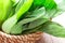 close up the Fresh baby green bok choy in basket