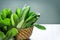 close up the Fresh baby green bok choy in basket