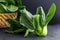 close up Fresh baby green bok choy on the black background , overhead or top view shot