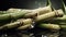 Close up of fresh bamboo with water drops on black background