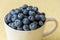 Close up of fresh blueberries in a white ceramic mug on a yellow crackle background