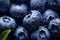 Close up of fresh blueberry fruits with water drops