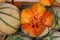 Close up fresh cantaloupe melons on retail display