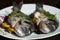 Close-up of fresh fishes on white plate under bright light