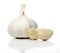 Close up of Fresh garlic