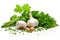 Close-up of fresh garlic, parsley, and green onions on a white background