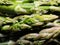 Close-up on fresh, green asparagus