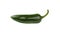 Close up fresh green jalapeno pepper isolated