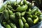 Close up of fresh, hot jalapeno peppers