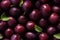 Close up of fresh juicy plums, top view, seamless pattern. Generative Ai