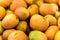 Close up of fresh mangos at grocery store. Fresh tropical fruits
