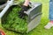 Close up of fresh mowed grass in a lawn mower