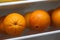 Close-up of fresh oranges on shelf in open fridge container