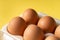 Close up on fresh organic eggs in the box container on yellow background