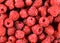 Close up Fresh Organic picked Raspberries. Rich with vitamins Background, texture