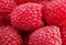 Close-up of fresh organic raspberries