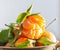 A close-up of a fresh peeled juicy clementine with green leaves