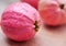 Close up Fresh pink guava