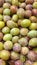 Close-up of a fresh prune. A pile of fresh prunes is displayed in the fruit section of the supermarket.