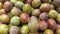 Close-up of a fresh prune. A pile of fresh prunes is displayed in the fruit section of the supermarket.